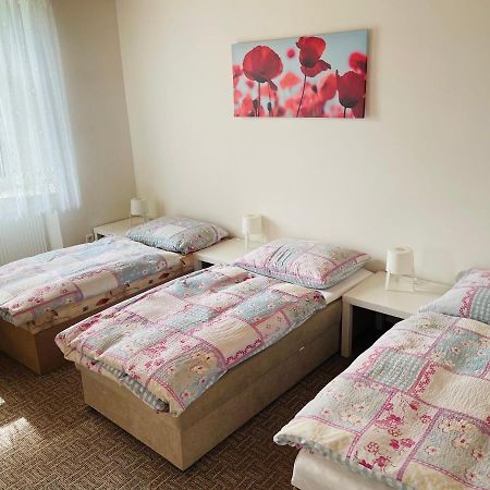 Ubytovani U Lva Zirovnice ภายนอก รูปภาพ