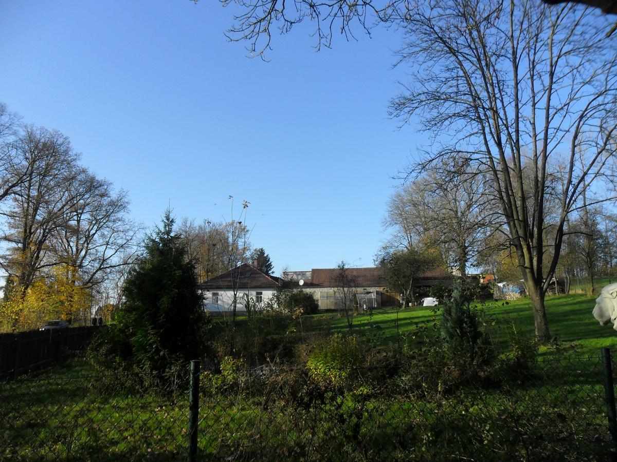 Ubytovani U Lva Zirovnice ภายนอก รูปภาพ